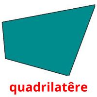 quadrilatêre card for translate