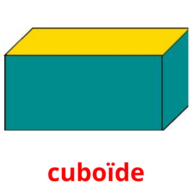 cuboïde Bildkarteikarten
