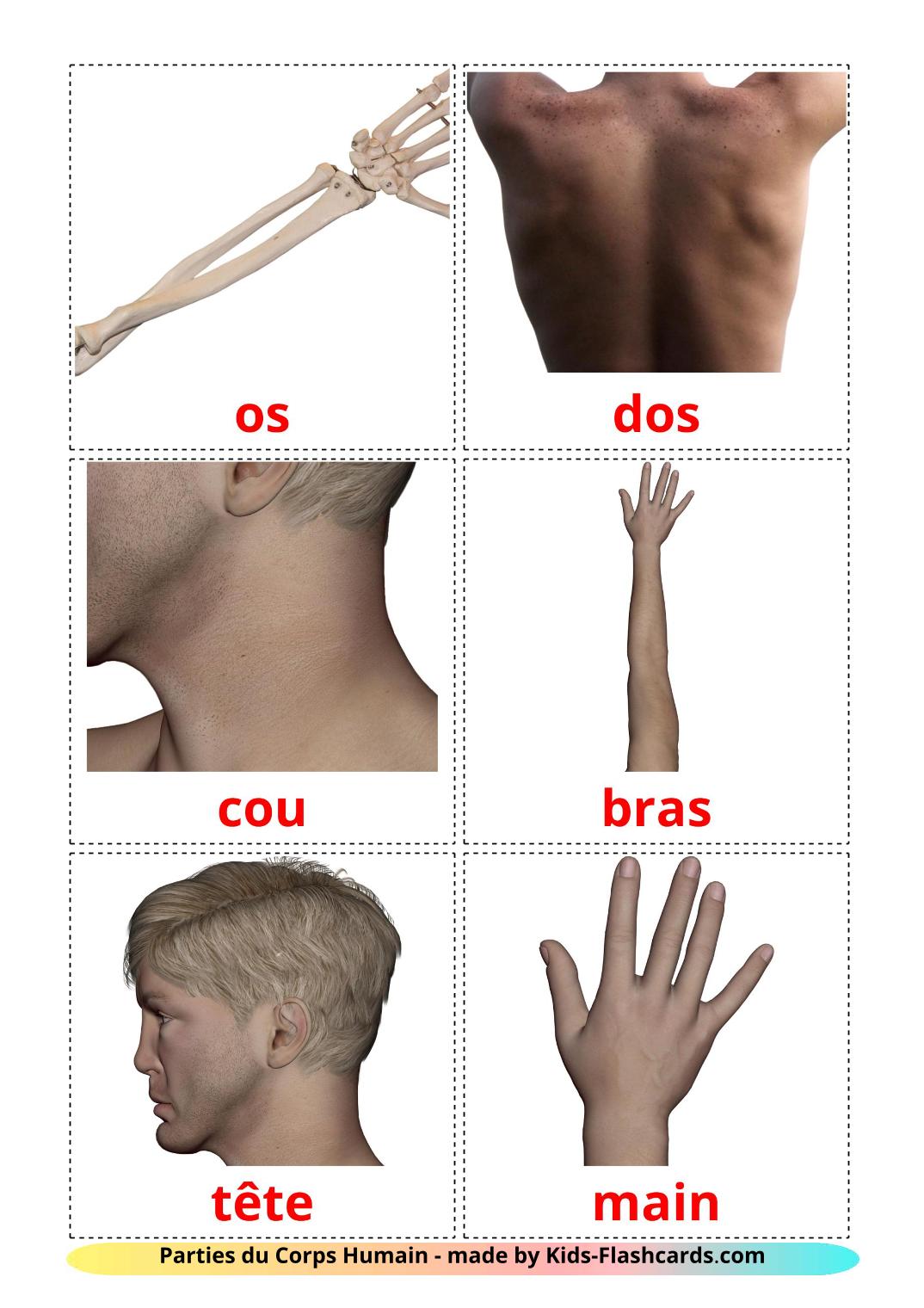 Body Parts - 26 Free Printable french Flashcards 
