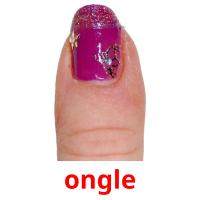 ongle picture flashcards