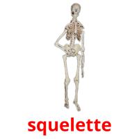 squelette picture flashcards