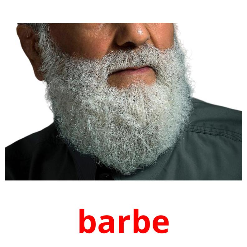 barbe picture flashcards