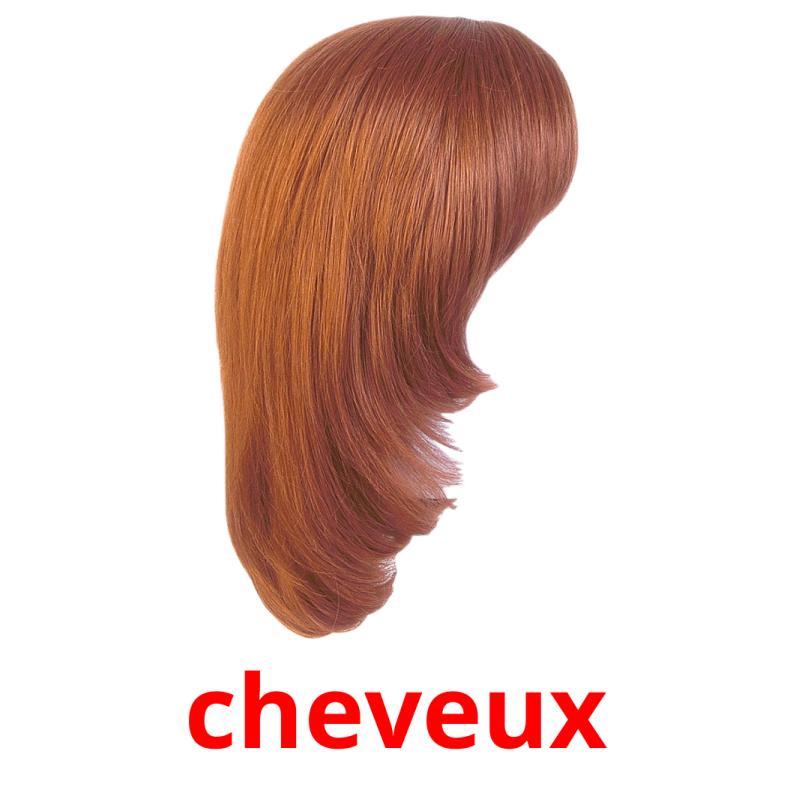 cheveux picture flashcards