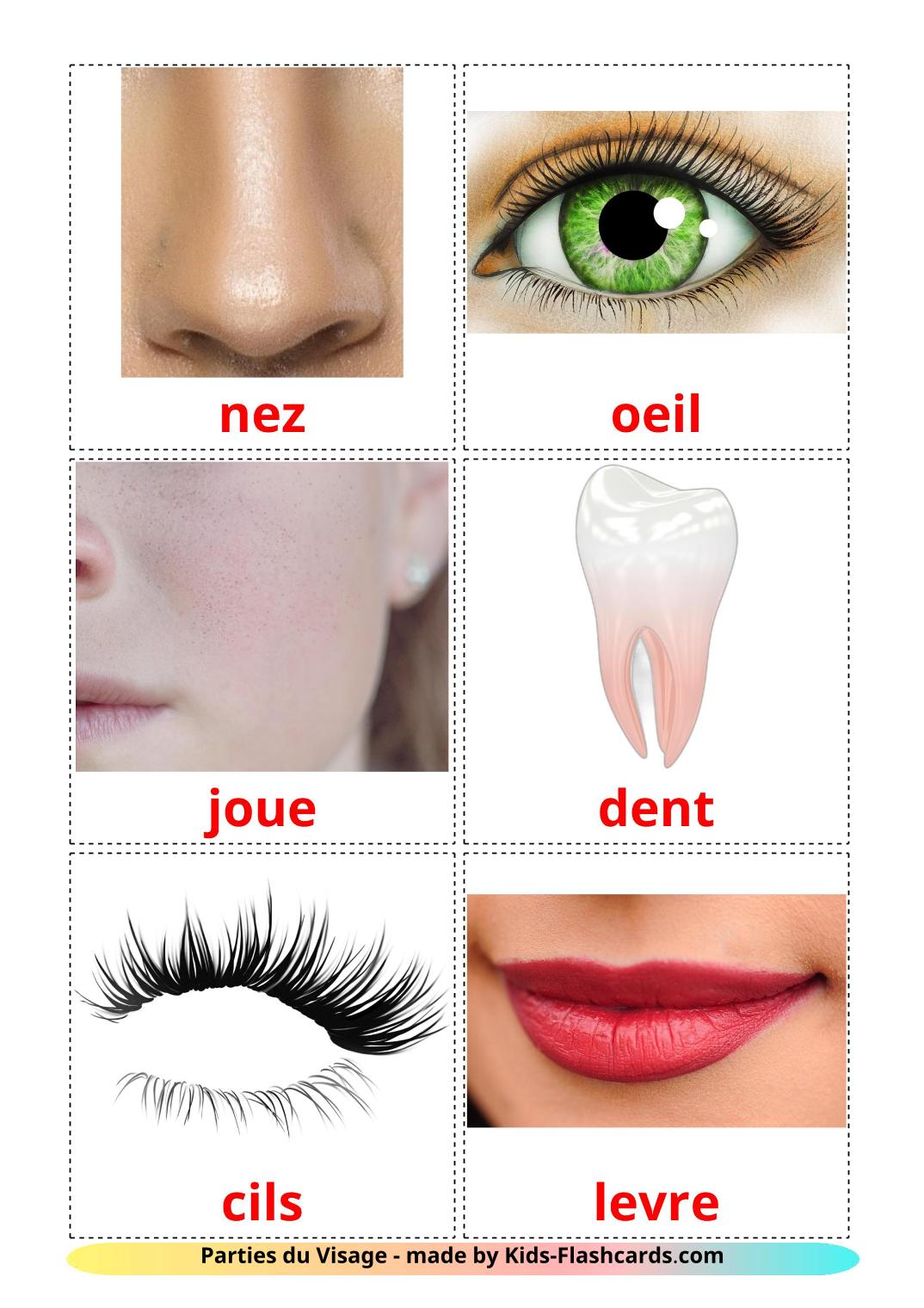 Face - 20 Free Printable french Flashcards 