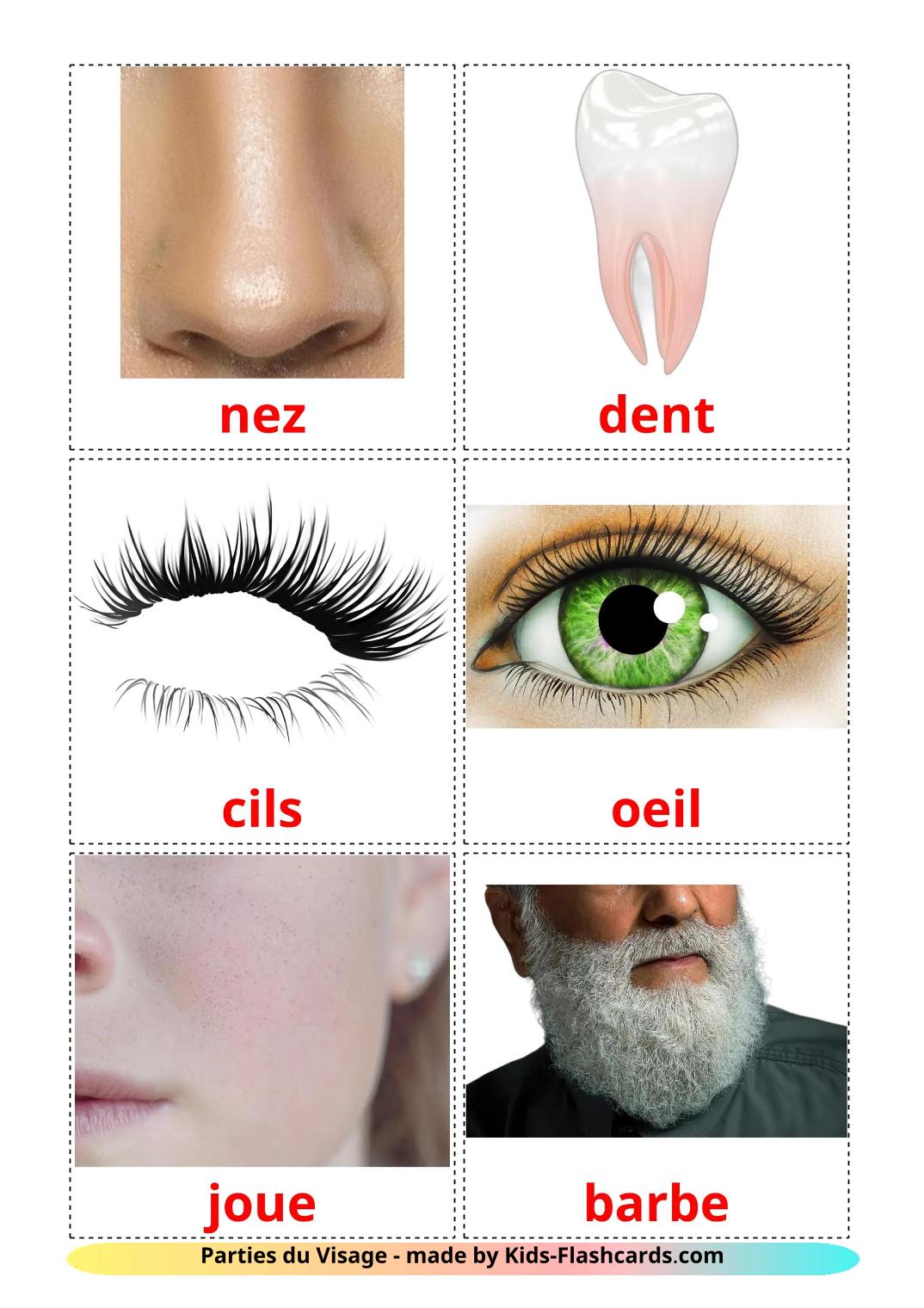 Parties du Visage - 20 Flashcards français imprimables gratuitement