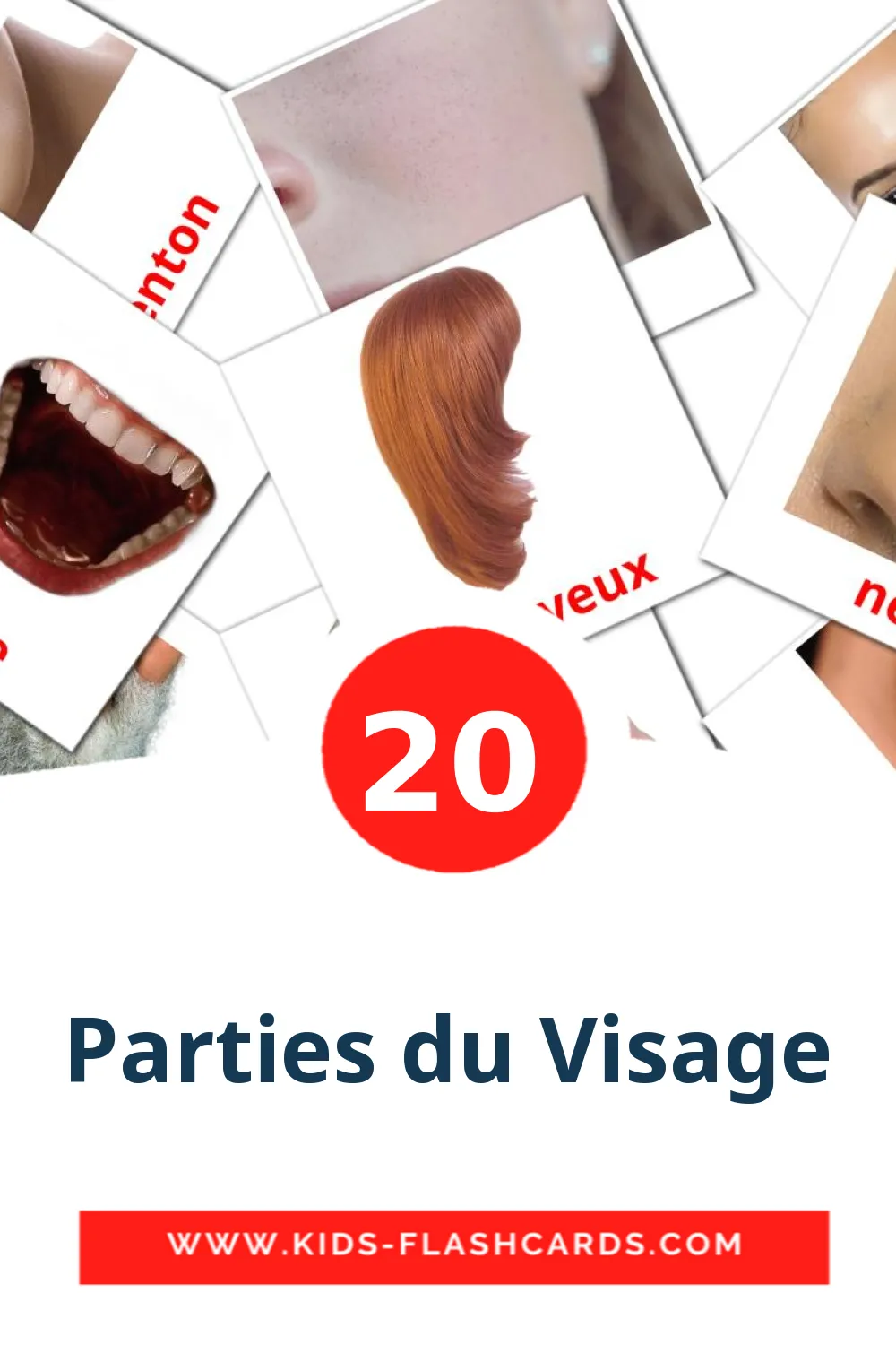 20 cartes illustrées de Parties du Visage pour la maternelle en français