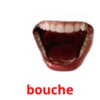 bouche picture flashcards