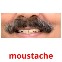 moustache cartes flash