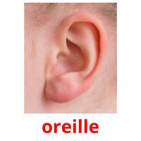 oreille picture flashcards