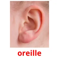 oreille cartes flash