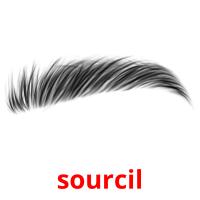 sourcil card for translate
