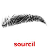 sourcil cartes flash