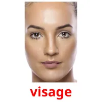 visage cartes flash