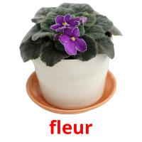 fleur picture flashcards