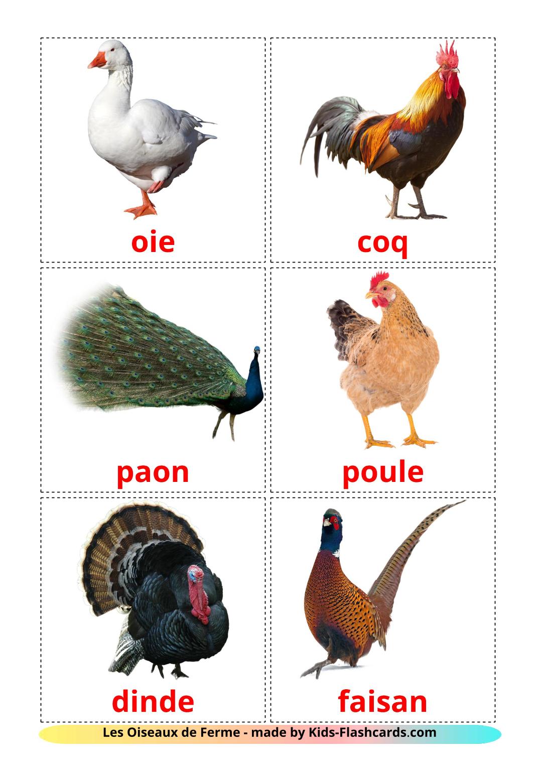 Farm birds - 11 Free Printable french Flashcards 