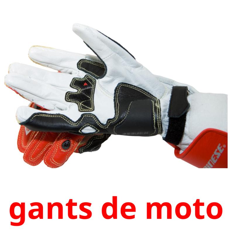 gants de moto picture flashcards