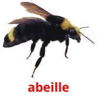 abeille Tarjetas didacticas