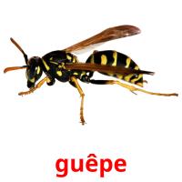 guêpe picture flashcards