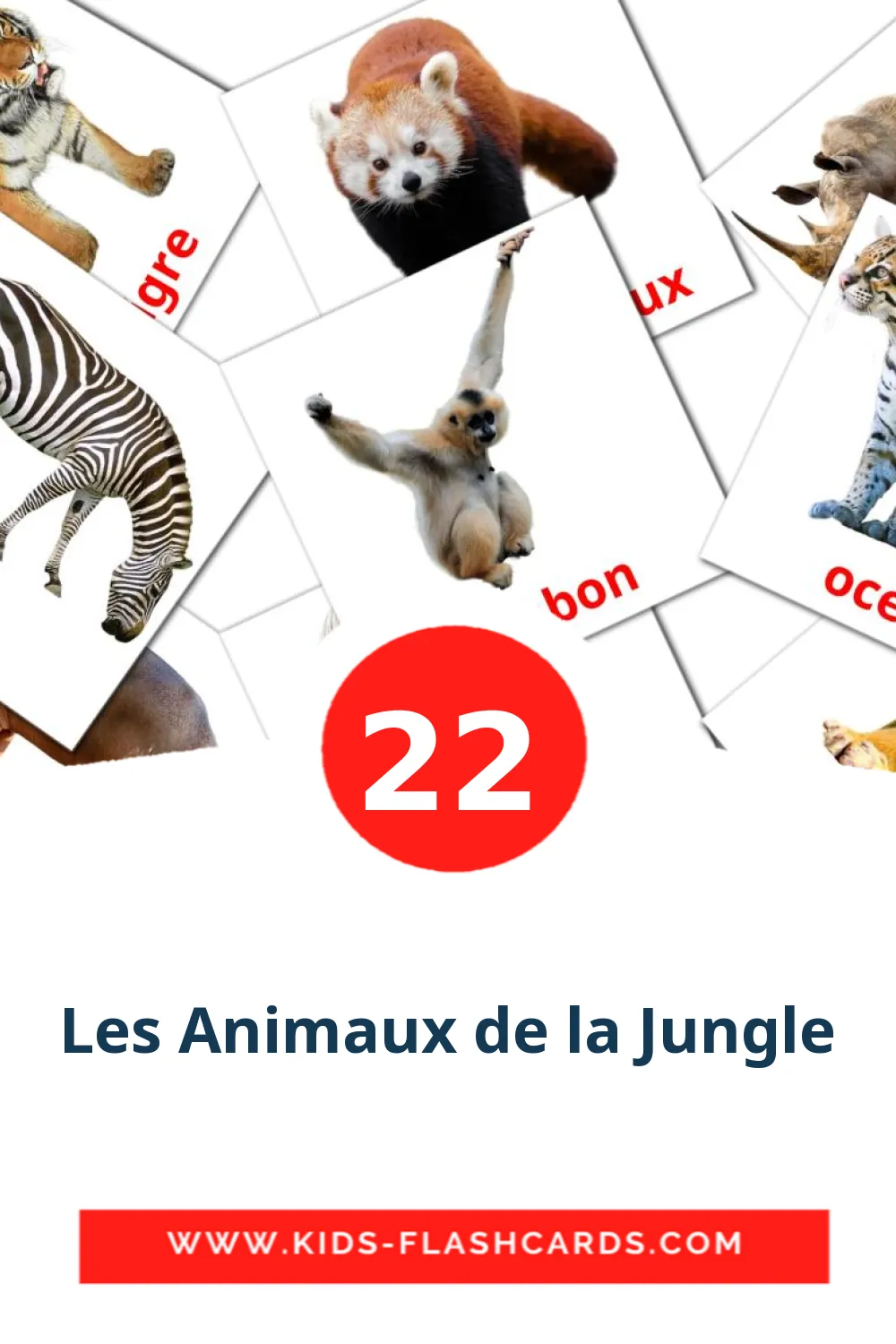 22 tarjetas didacticas de Les Animaux de la Jungle para el jardín de infancia en francés