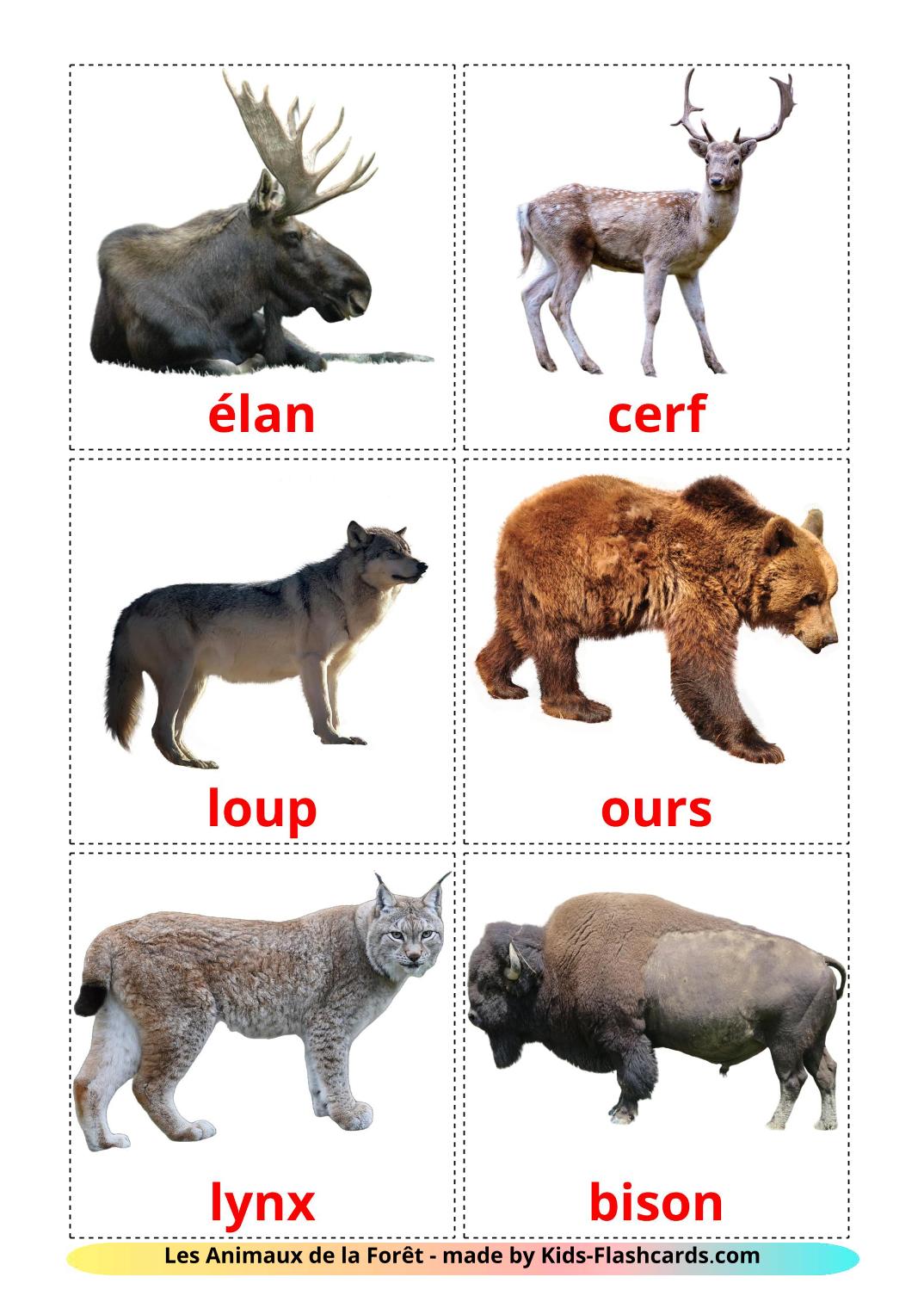 Forest animals - 22 Free Printable french Flashcards 