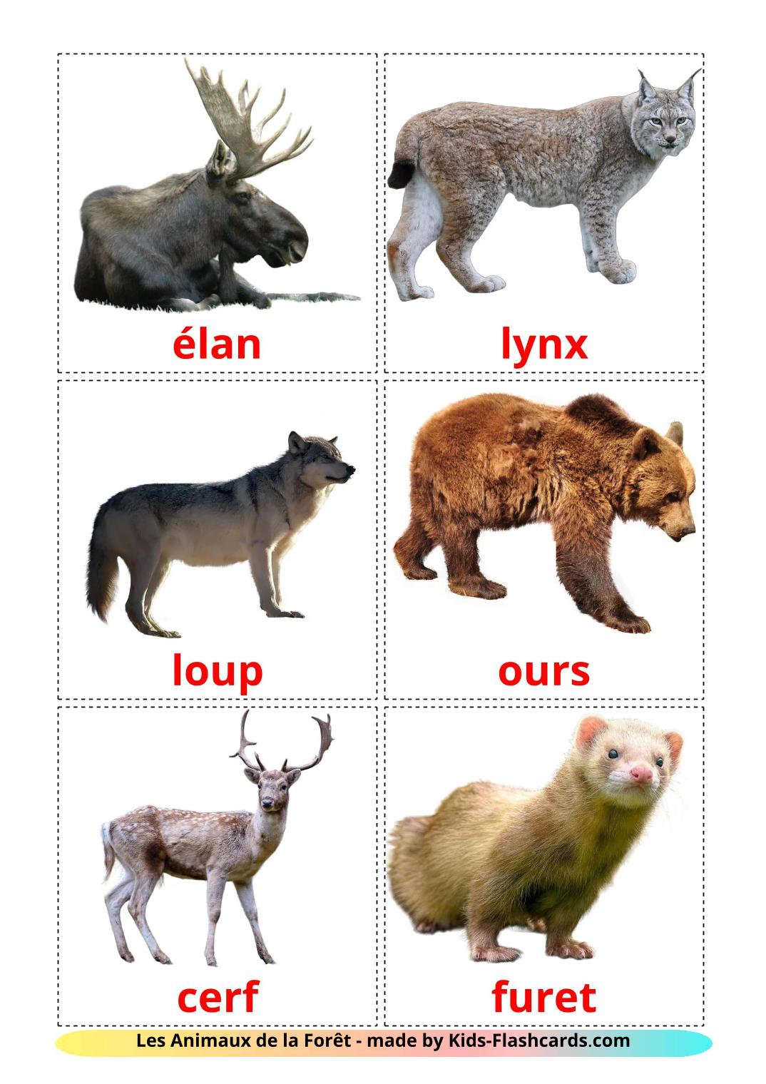 Les Animaux de la Forêt - 23 Flashcards français imprimables gratuitement