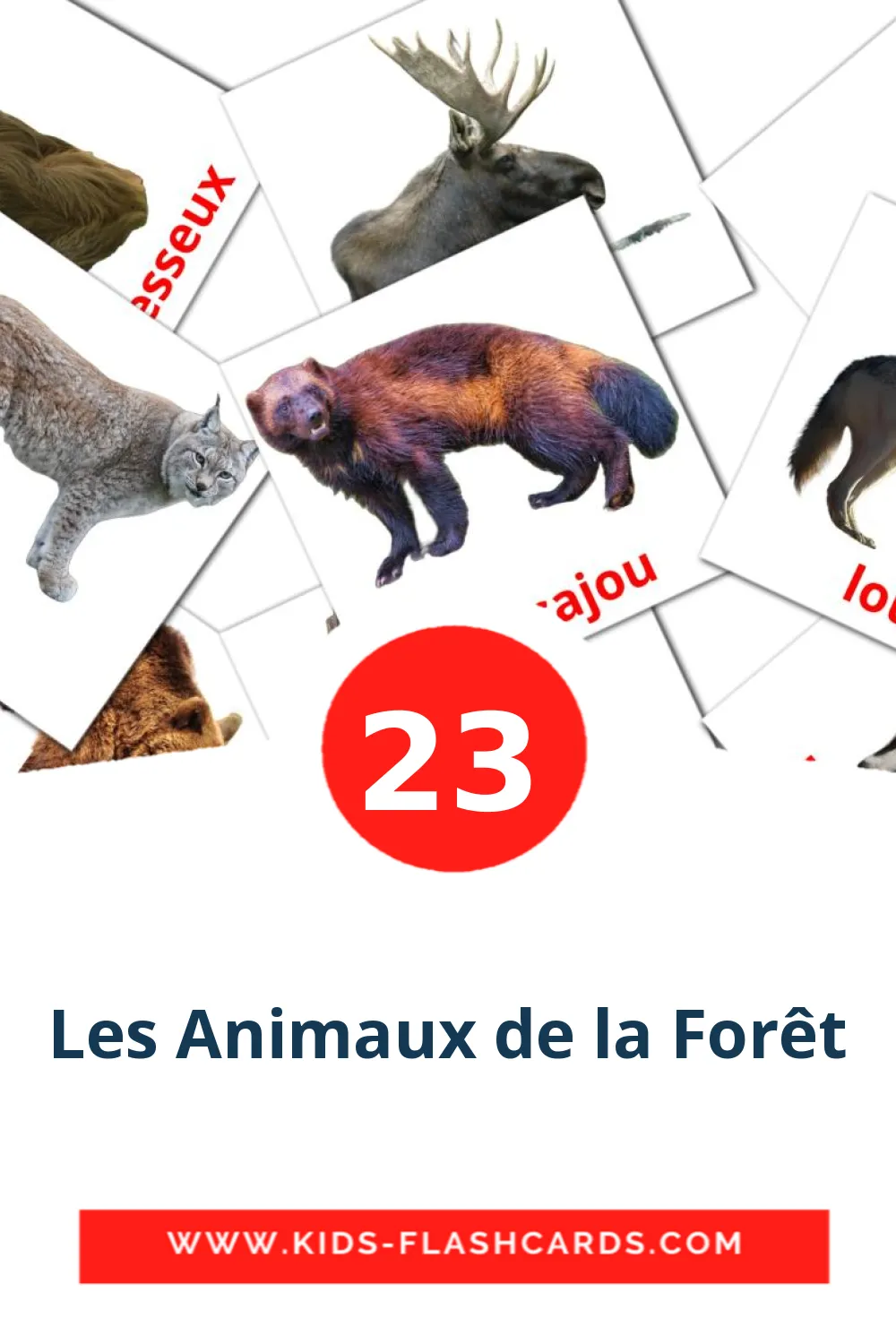 23 cartes illustrées de Les Animaux de la Forêt pour la maternelle en français