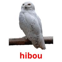 hibou picture flashcards