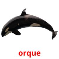 orque flashcards illustrate