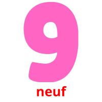 neuf picture flashcards