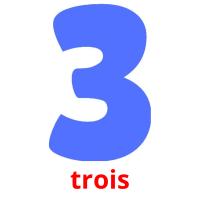 trois picture flashcards