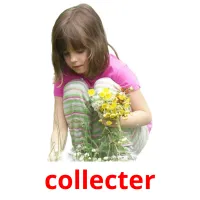 collecter cartes flash