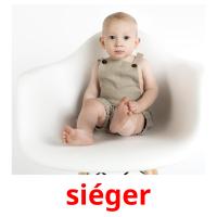 siéger picture flashcards