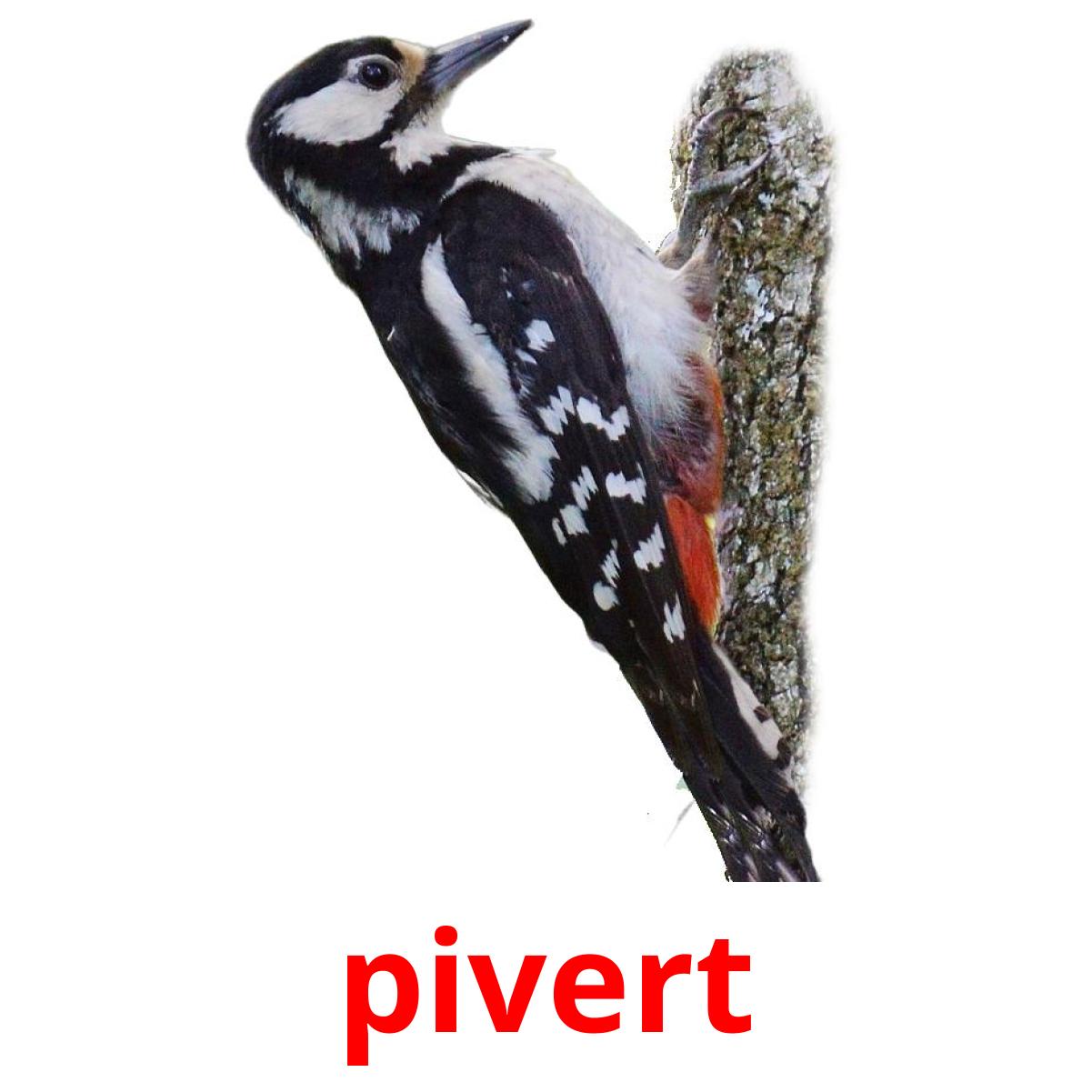 18-free-wild-birds-flashcards-pdf-french-words