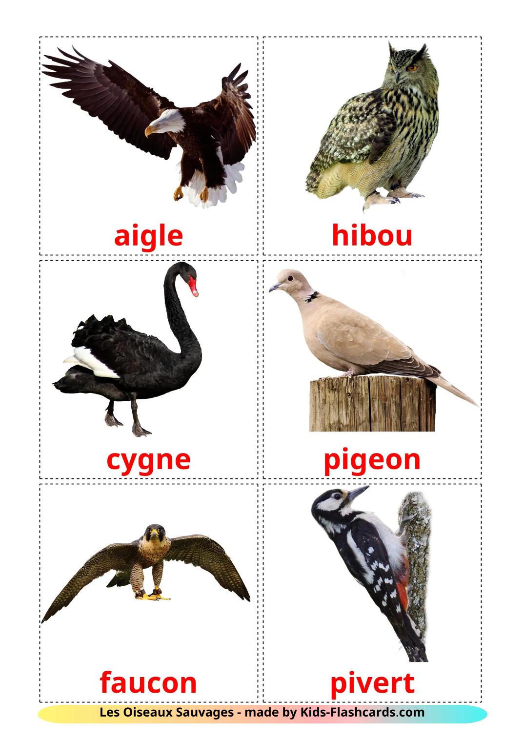 Les Oiseaux Sauvages - 19 Flashcards français imprimables gratuitement