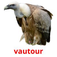 vautour card for translate