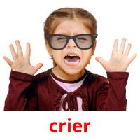 crier picture flashcards