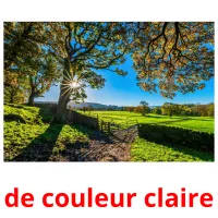 de couleur claire ansichtkaarten