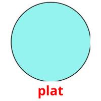 plat picture flashcards