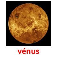 vénus picture flashcards