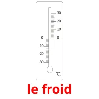 le froid Tarjetas didacticas