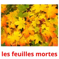 les feuilles mortes Tarjetas didacticas