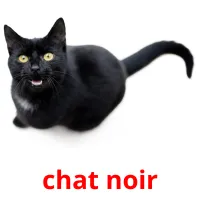 chat noir Tarjetas didacticas