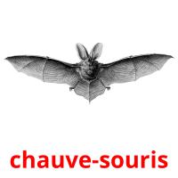 chauve-souris card for translate
