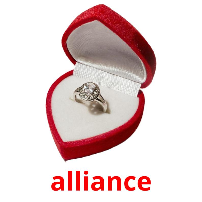 alliance Bildkarteikarten