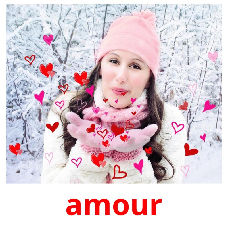 amour picture flashcards
