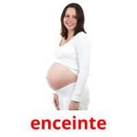 enceinte picture flashcards