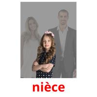 nièce picture flashcards