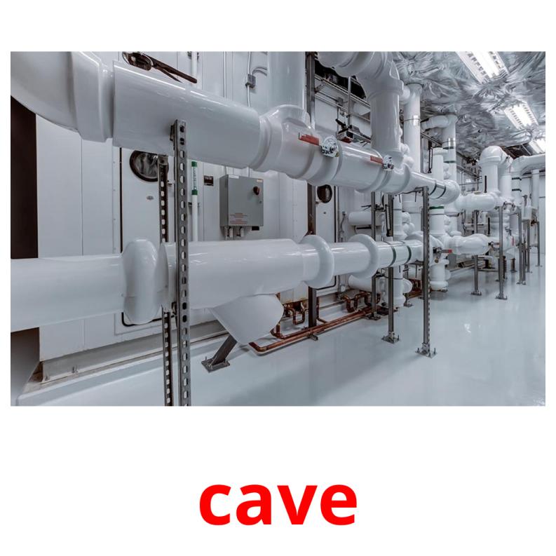 cave picture flashcards