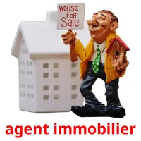 agent immobilier cartes flash