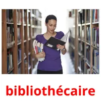 bibliothécaire cartes flash